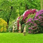 Valla de arbustos ornamentales