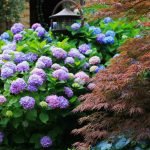 Decoración de jardín de estilo japonés
