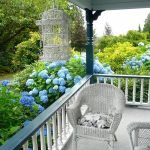 Hortensia alrededor de la veranda
