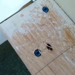 También un segundo tornillo