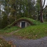 Bodega entre los arboles