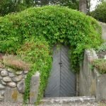 Plantas en el techo