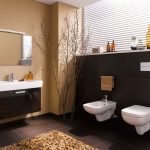 Baño marrón