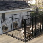 Aviario para tres perros