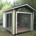 Aviario para perros medianos