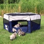Parque para cachorros