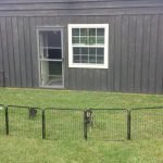 Aviario para perros pequeños