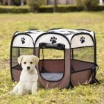 Cabina de carpa para cachorros