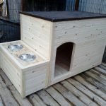 Caja de perro