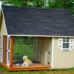 Perro en un aviario cerrado