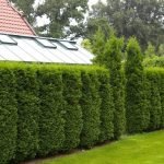 Valla verde