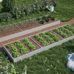 Cuidado del jardín
