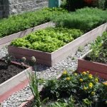 Jardín con camas altas