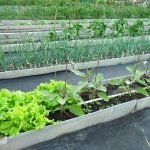 Camas de pizarra de bricolaje