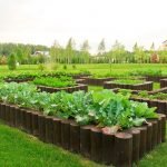 Valla de madera para jardín