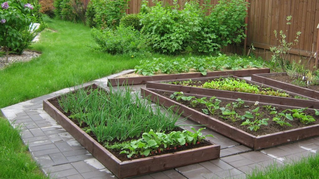 מיטות בצורות שונות