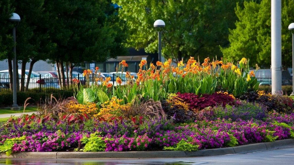 Llit de flors en flor