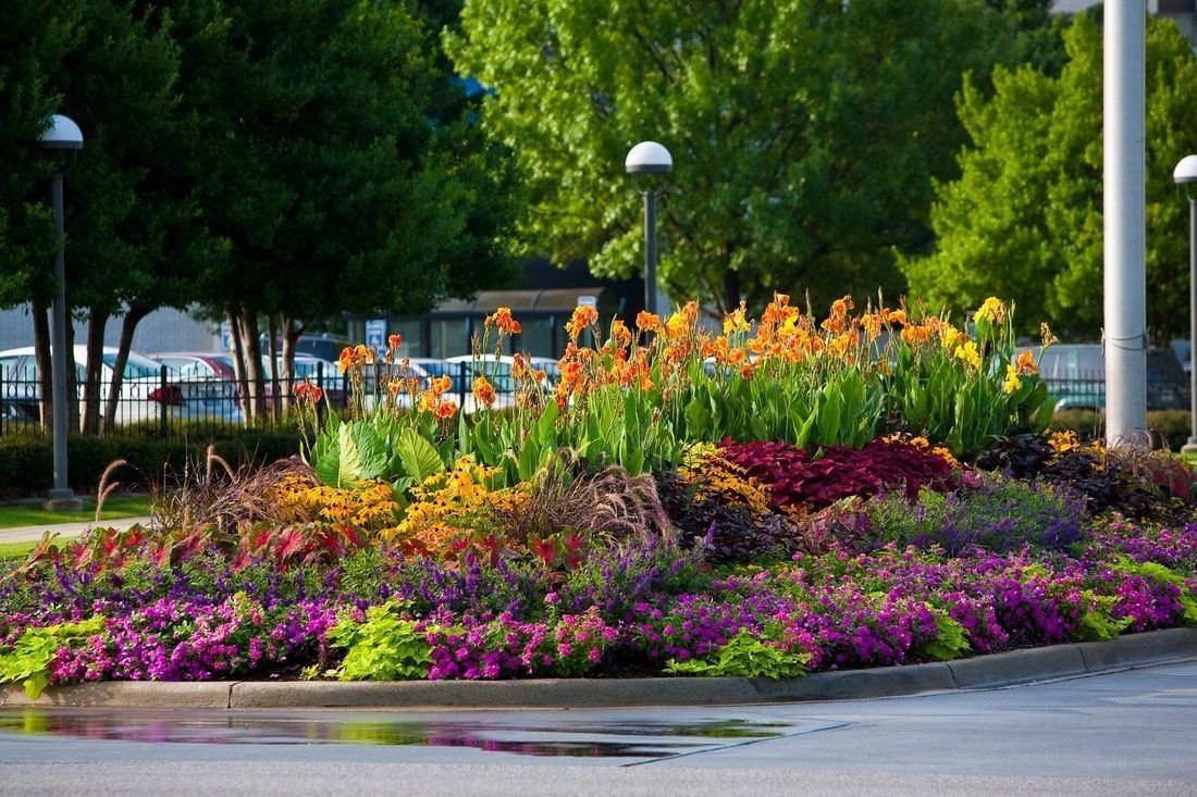 Cvjetanje cvjetnog kreveta