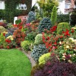 Macizos de flores con coníferas