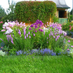 Cama de flores de la isla
