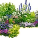 Esquema de parterres con plantas perennes