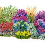 El esquema de plantar flores en el macizo de flores