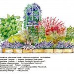 El esquema de plantar flores en el macizo de flores