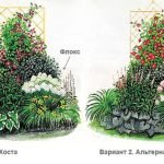 Esquemas de parterres de plantas perennes