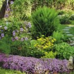 Flores perennes para parterres