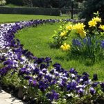 Hermosos macizos de flores en el país