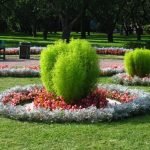 Macizos de flores con plantas perennes