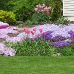 Alfombra de plantas perennes