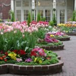 Macizos de flores en primavera