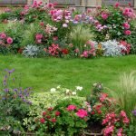 Plantas perennes que florecen todo el verano