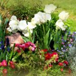 Cama de flores de primavera
