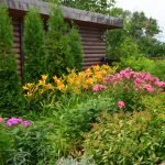 Árboles de hoja perenne para el jardín