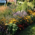 Plantas para un jardin sombreado