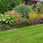 Macizos de flores perennes: esquemas de plantación con nombres de flores