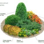 Esquemas de parterres de plantas perennes