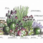 Cama de flores en colores lilas