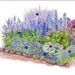 Cama de flores en tonos azules
