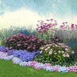 Esquema de un macizo de flores de floración continua