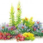 Esquema de flores