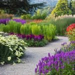 Camas con pasarelas
