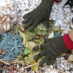 Mulching flores