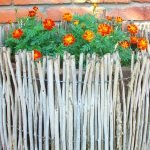 Jardín de flores con caléndulas