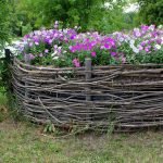 Macizo de flores de ramas