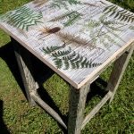 Hojas de plantas