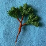 Formamos un arbol