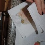 Sacamos la flor del agua y nos mojamos